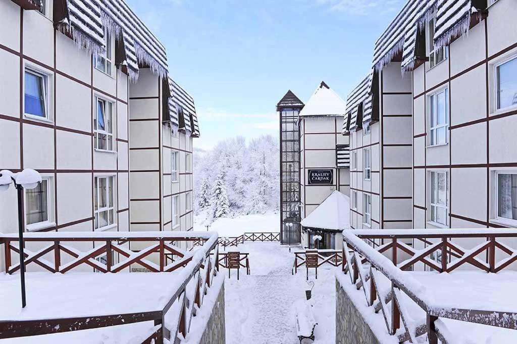 Kraljevi Cardaci Apartman Car 11 Daire Kopaonik Dış mekan fotoğraf